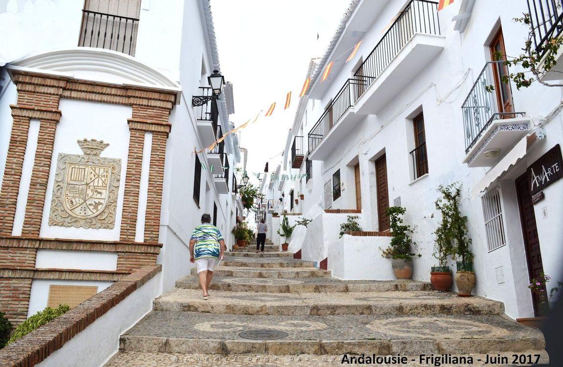 548 - Frigiliana.JPG